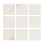 Special Cut | 4x4 Calacatta Gold Marble Honed Tile Special Cut | 4x4 Calacatta Gold Marble Honed Tile - American Tile Depot