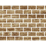 Special Cut | 6x12 Noce Exotic Travertine (Vein-Cut) Filled & Honed Tile Special Cut | 6x12 Noce Exotic Travertine (Vein-Cut) Filled & Honed Tile - American Tile Depot