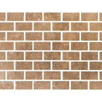 Special Cut | 6x12 Noce Travertine Filled & Honed Tile Special Cut | 6x12 Noce Travertine Filled & Honed Tile - American Tile Depot