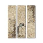 Special Cut | 6x24 Philadelphia Travertine Filled & Honed Tile Special Cut | 6x24 Philadelphia Travertine Filled & Honed Tile - American Tile Depot