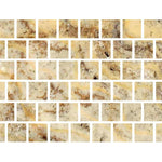 Special Cut | 6x6 Scabos Travertine Filled & Polished Tile Special Cut | 6x6 Scabos Travertine Filled & Polished Tile - American Tile Depot