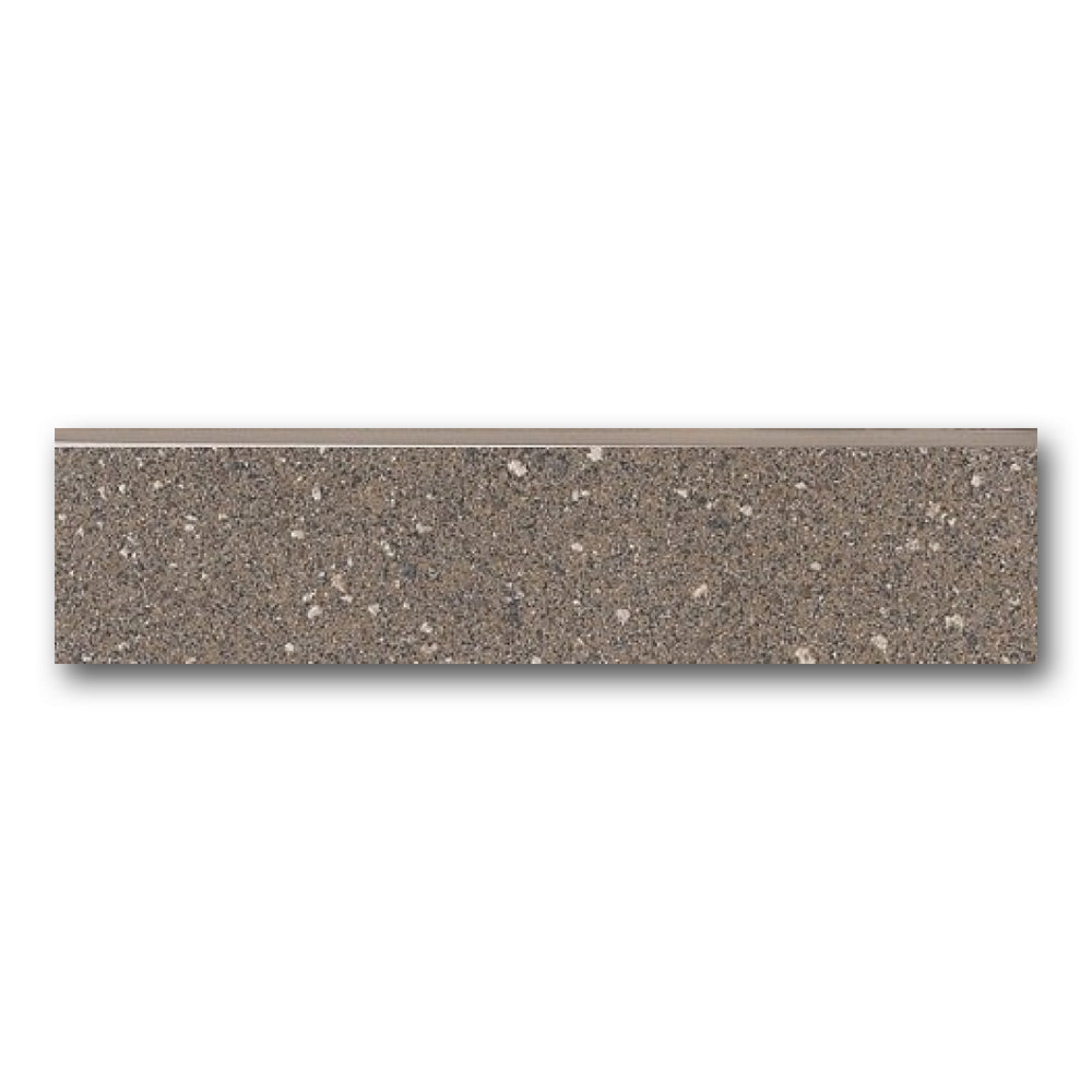 Terrara 2010E Bullnose 3x12 Molding Trim