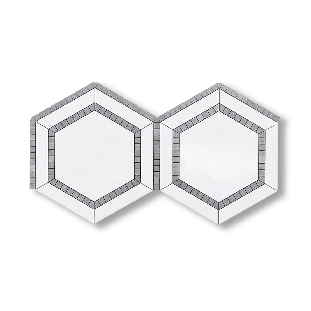 Thassos White Marble Honed 5" Hexagon Combination Mosaic Tile w/ Blue-Gray Border