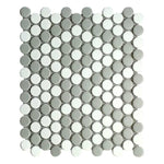 Array Gray & White Porcelain Matte Penny Round Mosaic Tile-American Tile Depot