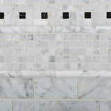 Carrara White Marble Honed Pinwheel Mosaic Tile w/ Black Dots