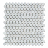 Carrara White Marble Honed Penny Round Mosaic Tile - American Tile Depot - Commercial and Residential (Interior & Exterior), Indoor, Outdoor, Shower, Backsplash, Bathroom, Kitchen, Deck & Patio, Decorative, Floor, Wall, Ceiling, Powder Room - 1