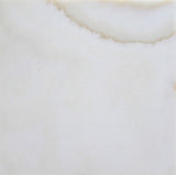 12 X 12 Premium White Onyx CROSS-CUT Polished Field Tile