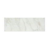 4 X 12 Calacatta Gold Marble Honed Field Tile