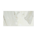 12 X 24 Calacatta Gold Marble Honed Field Tile - American Tile Depot - Shower, Backsplash, Bathroom, Kitchen, Deck & Patio, Decorative, Floor, Wall, Ceiling, Powder Room, Indoor, Outdoor, Commercial, Residential, Interior, Exterior