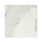 18 X 18 Calacatta Gold Marble Polished Field Tile