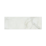 4 X 12 Calacatta Gold Marble Honed Field Tile - American Tile Depot - Shower, Backsplash, Bathroom, Kitchen, Deck & Patio, Decorative, Floor, Wall, Ceiling, Powder Room, Indoor, Outdoor, Commercial, Residential, Interior, Exterior